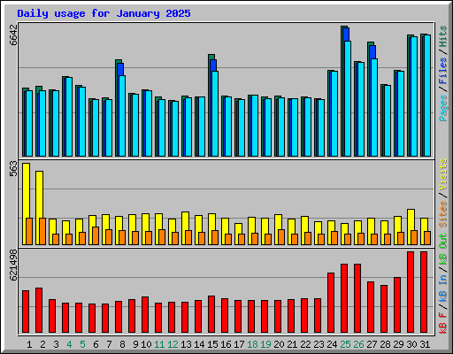 Daily usage for January 2025