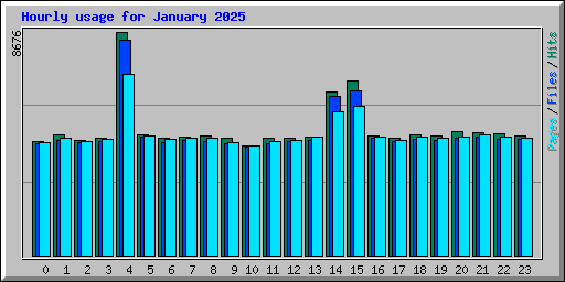 Hourly usage for January 2025