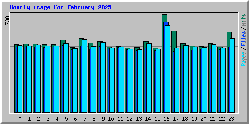 Hourly usage for February 2025