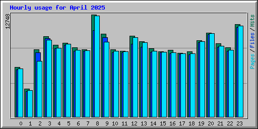 Hourly usage for April 2025