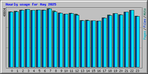 Hourly usage for May 2025