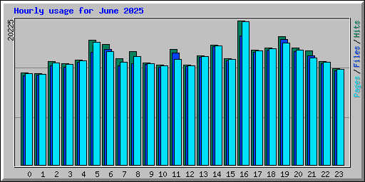 Hourly usage for June 2025