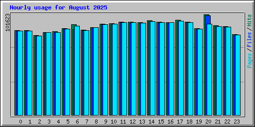 Hourly usage for August 2025