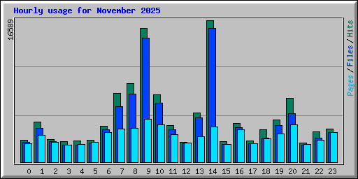 Hourly usage for November 2025