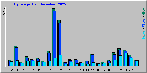 Hourly usage for December 2025