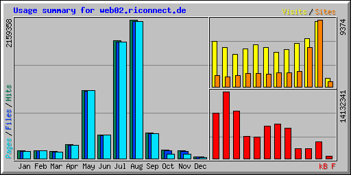 Usage summary for web02.riconnect.de